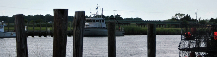 About Delaware Right